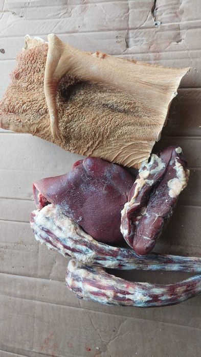 Корм для собак всегда.