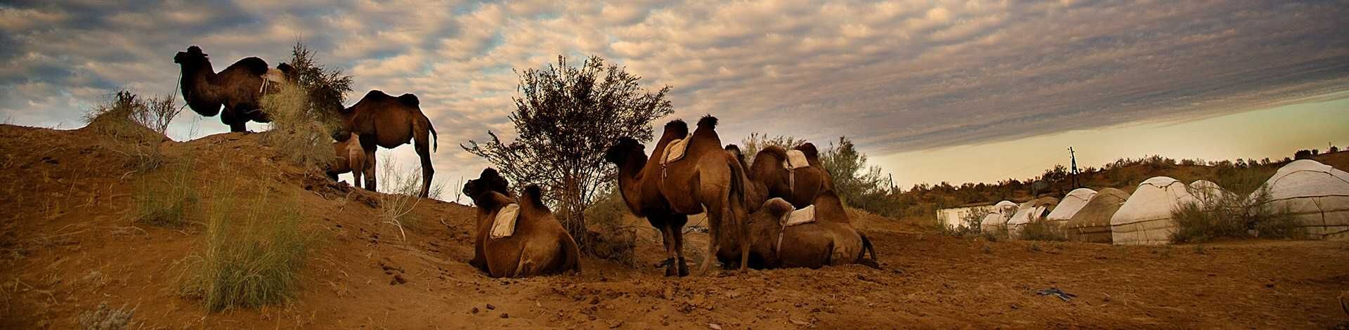 “Novotours Silk Road” – Откройте Узбекистан с нами!