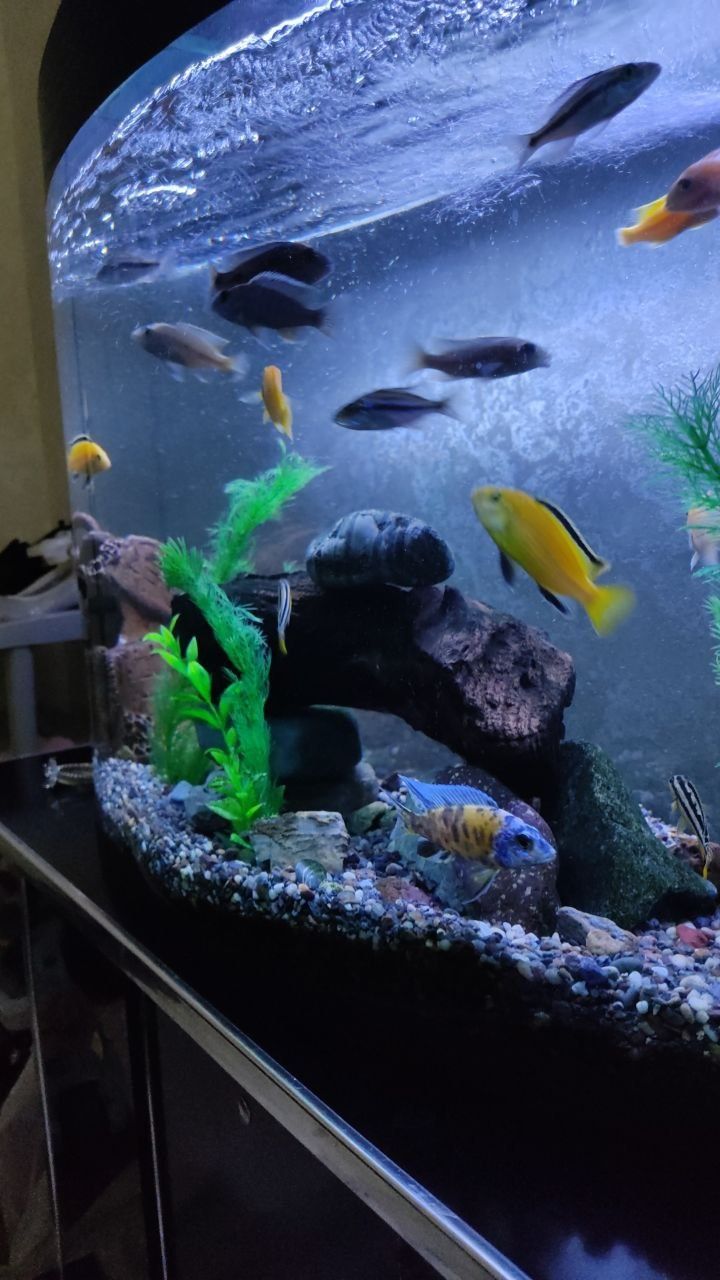 Akvarium 100 litr 900 000