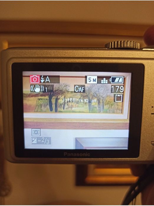 Panasonic DMC TZ1 - aparat de colectie - fotografiat / cameră foto