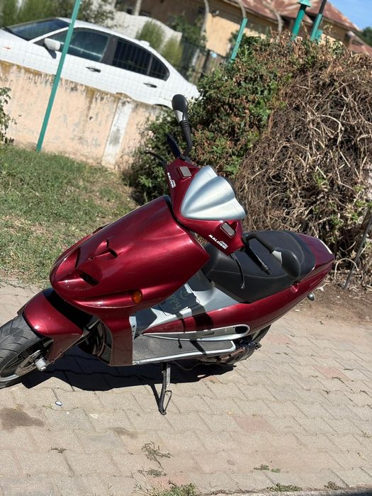 Vând malaguti f12
