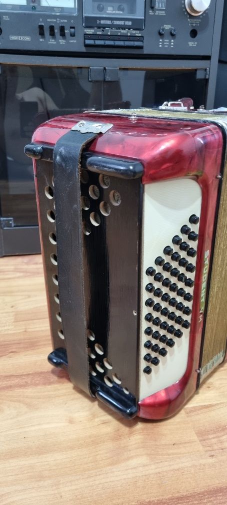 Acordeon Hohnet Student VM 48 basi