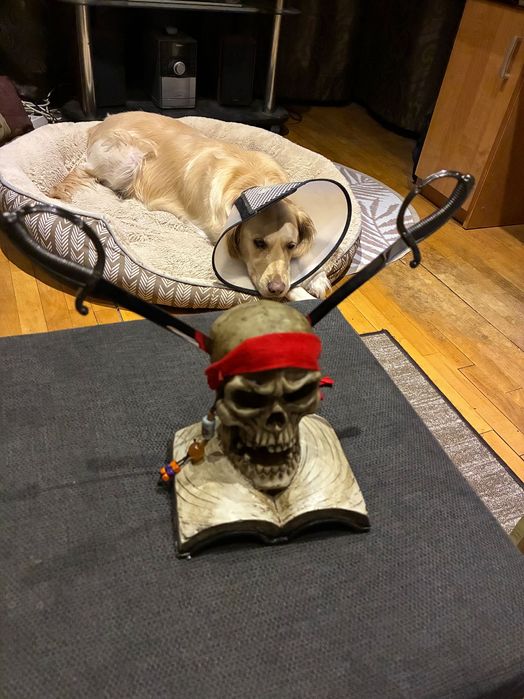 Карипски пирати статуетка на череп с два меча