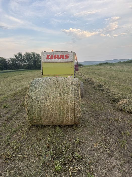 Baloti rotunzi de lucerna .