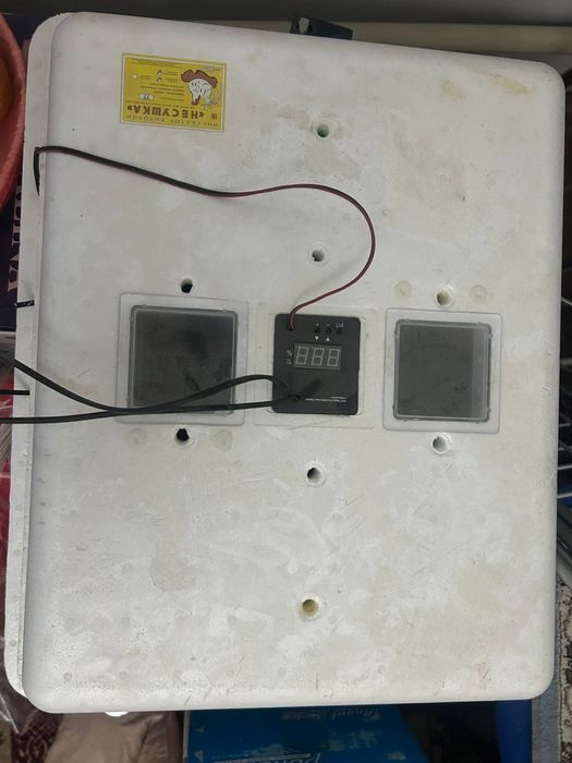 Инкубатор сатылады Новый