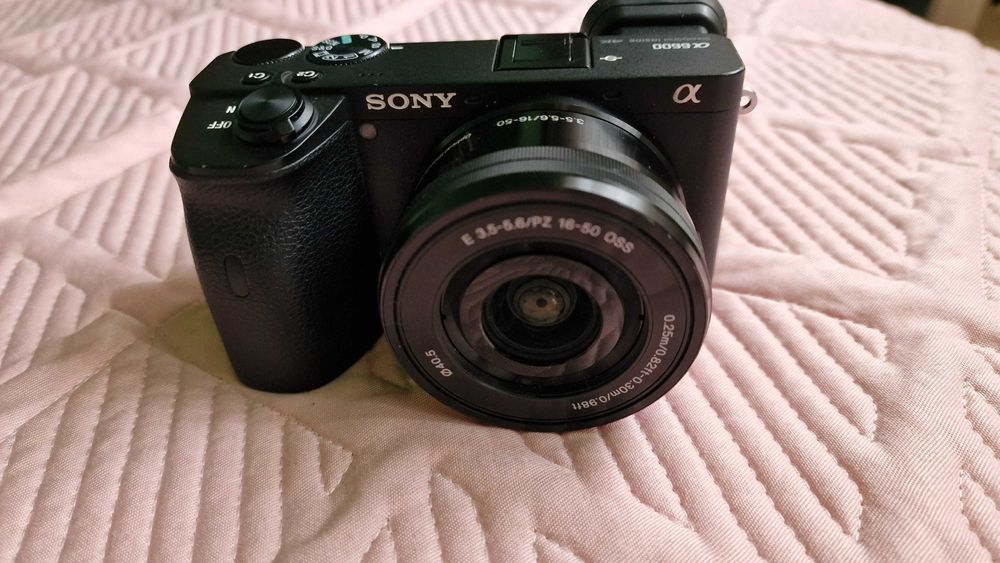 Sony Alpha A6600