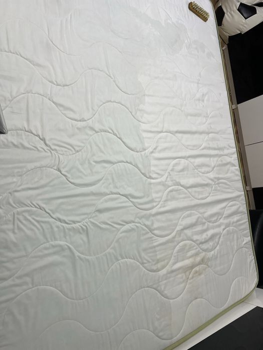 Servicii profesionale pentru spalare canapele