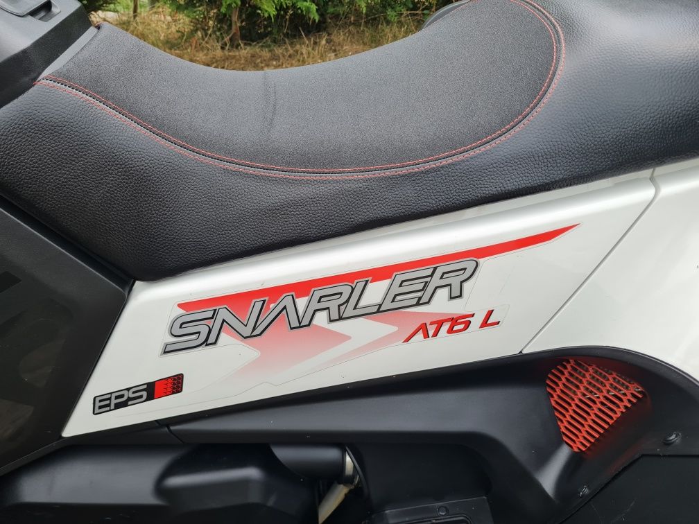 ATV Segway Snarler AT6 L E5