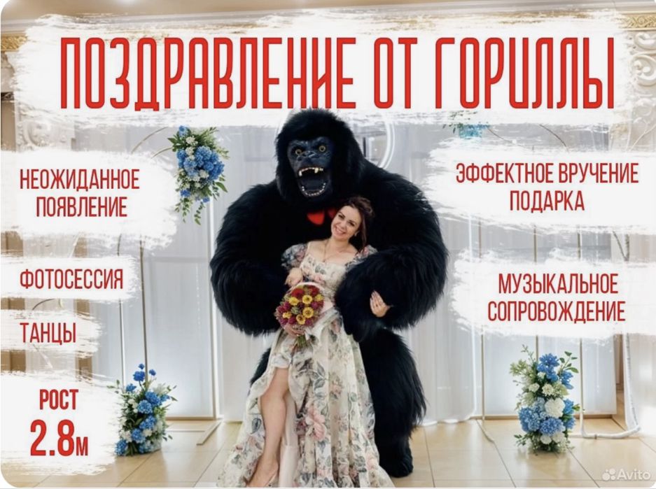 КИНГ Конг/Конг/БЕЛЫЙ Мишка/УМКА/Мишки Тедди/Аниматоры/Поздравление