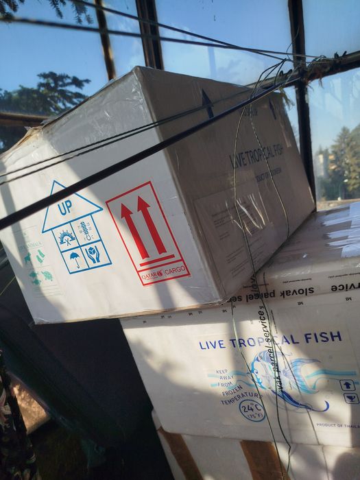 Cutii termoizolatoare