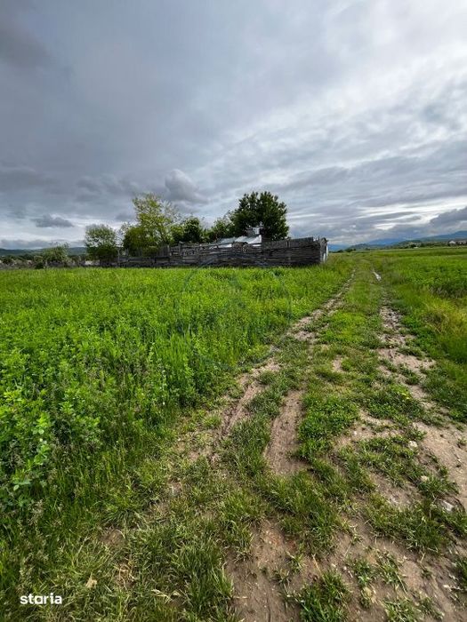 Teren extravilan de vanzare – 2.800 mp, Livezile, judetul Bistrita-