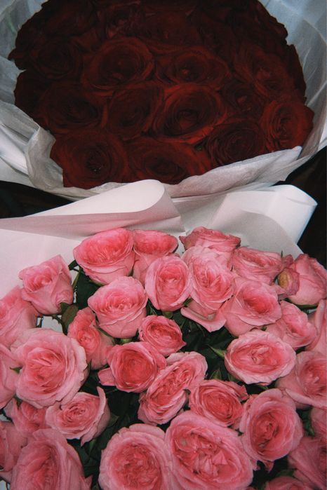 Цветы свежие розы