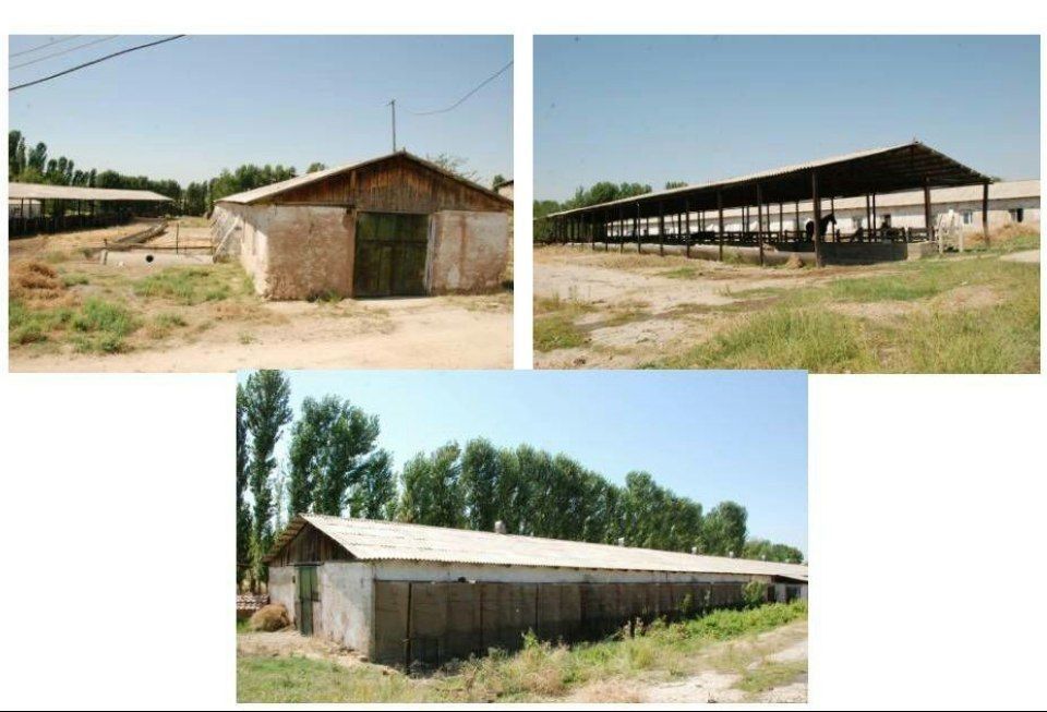 Ферма ижарага берилади.