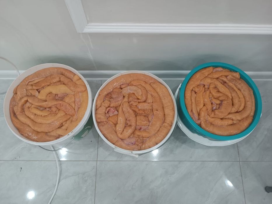 Продам щучья икру свежего