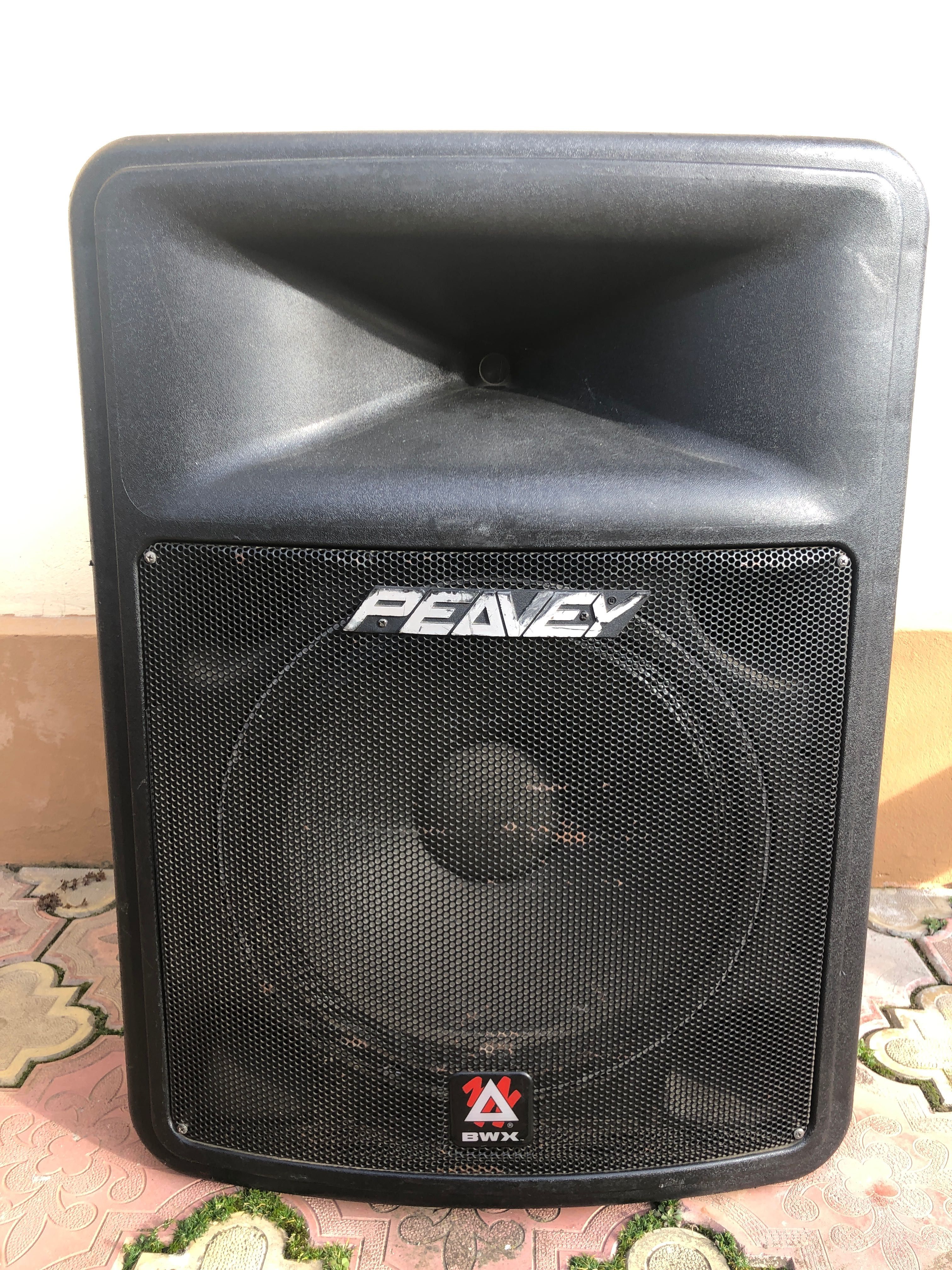 Boxe Peavey profesionale la Jumatate de preț