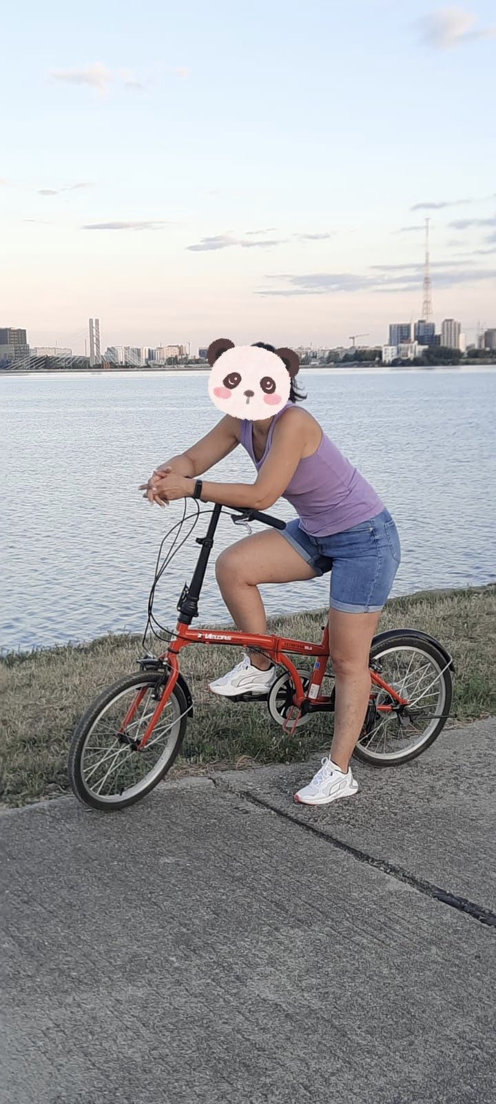 Bicicleta pliabila