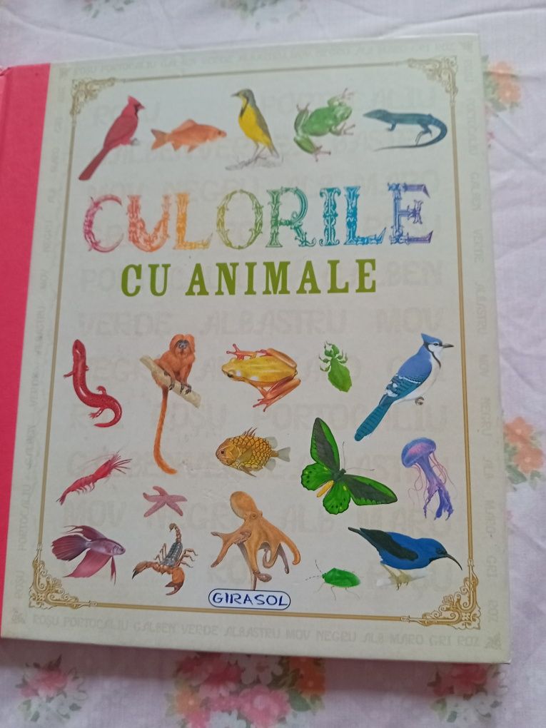 4 carti girasol alfabetul culorile contrariile numerele cu animale