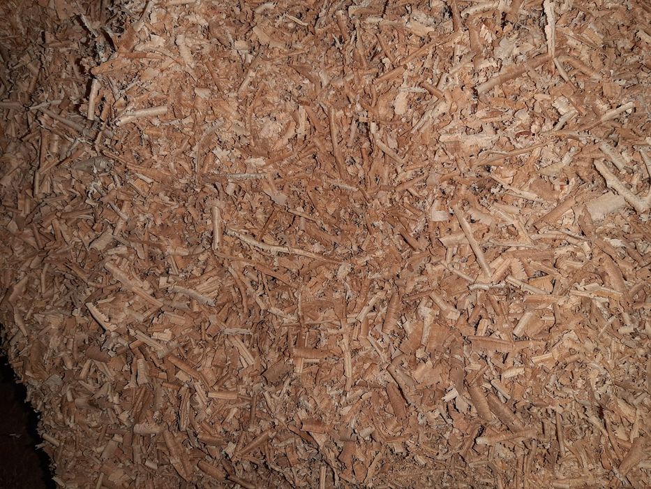 Vând rumegus din lemn de esență tare