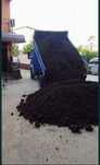 Pamant negru vegetal
