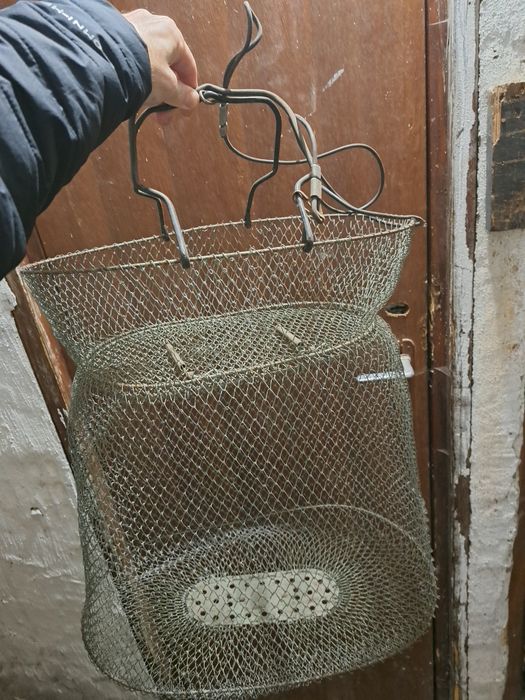 Bete pescuit , plase