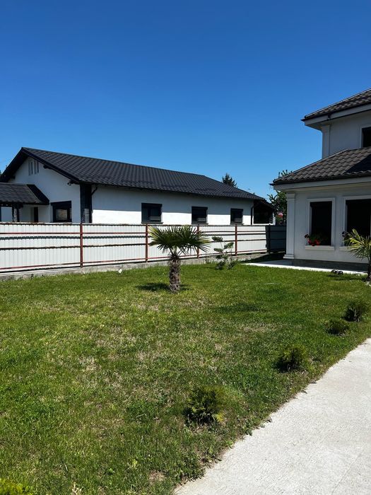 Prestări servicii tuns gazon,iarba,toaletare gard viu