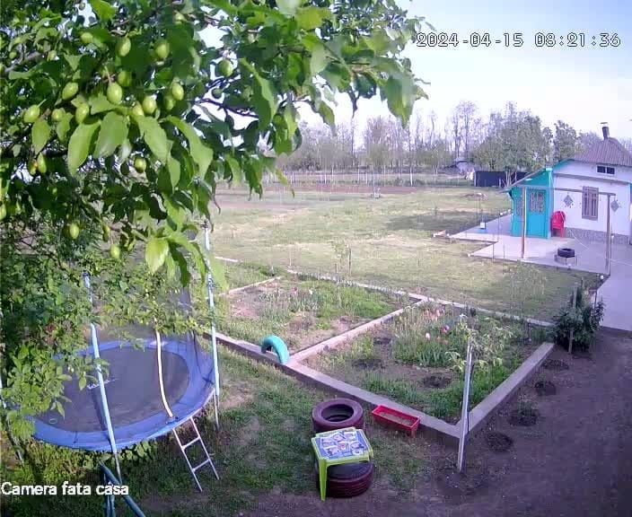 Vand teren 5000 mp sau schimb cu apartament