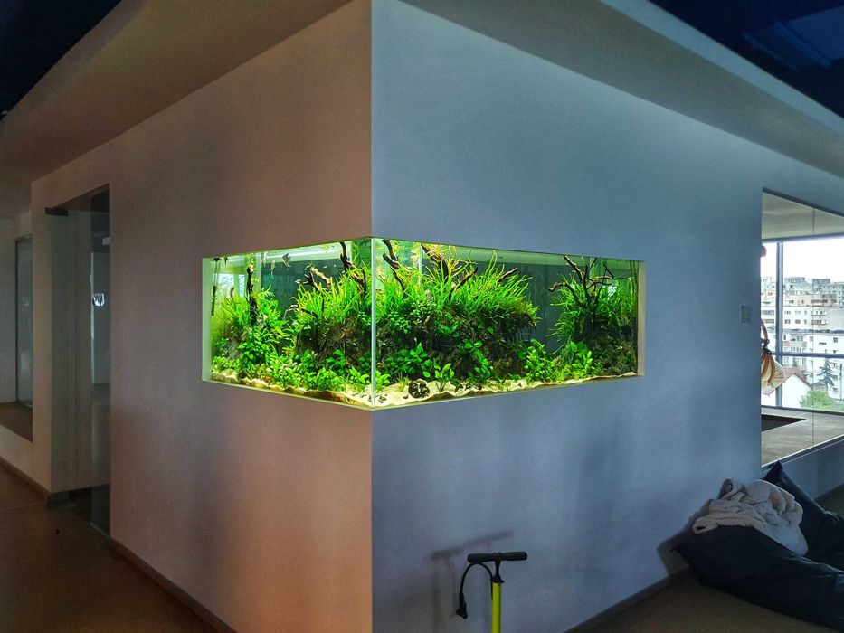 Amenajări Acvarii Personalizate și Mentenanță Profesională - DAD