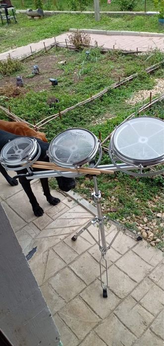 Рототоми maxtone!