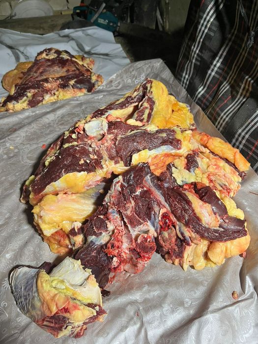 Мясо говяжий на согым (целиком, по частям)