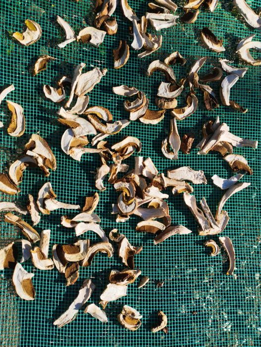 Сушена манатарка