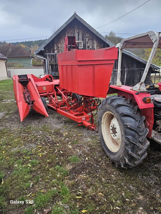 Culegători de porumb