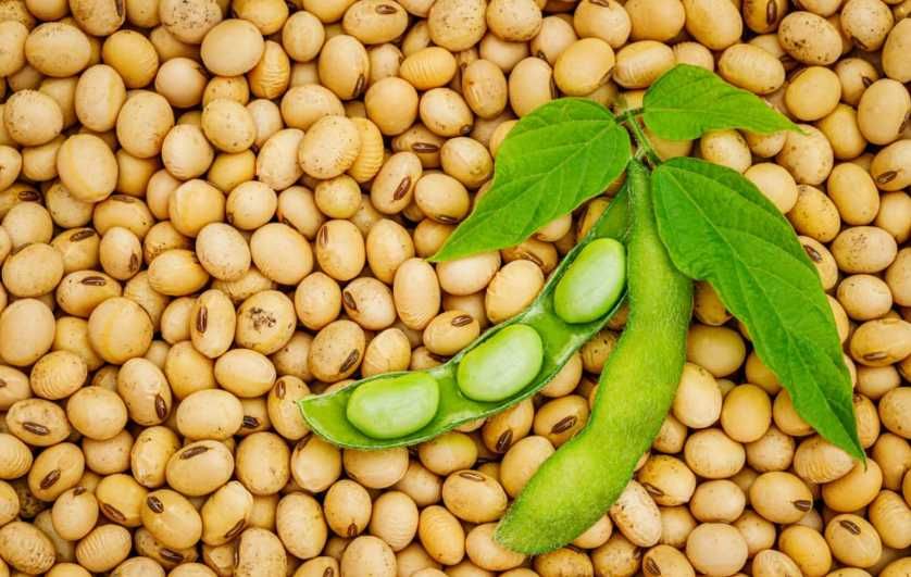 Granula din coaja de soia