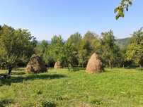Fân de vânzare fâneață