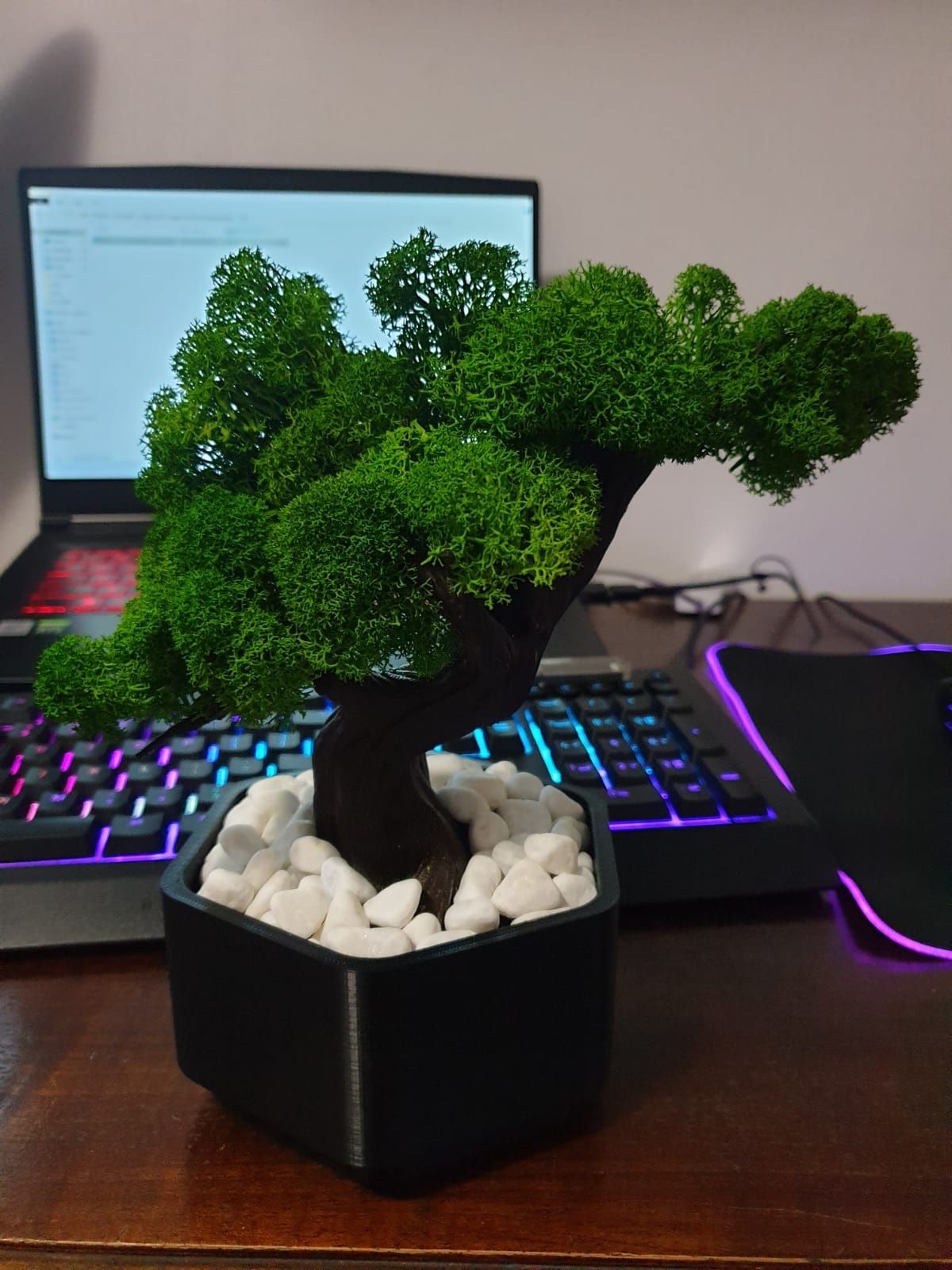 Copac/ bonsai printat 3D