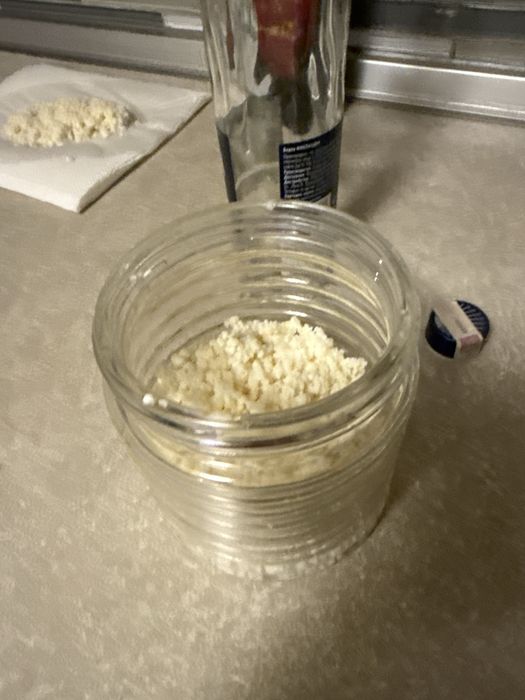 Кефирни Гъби за кефир