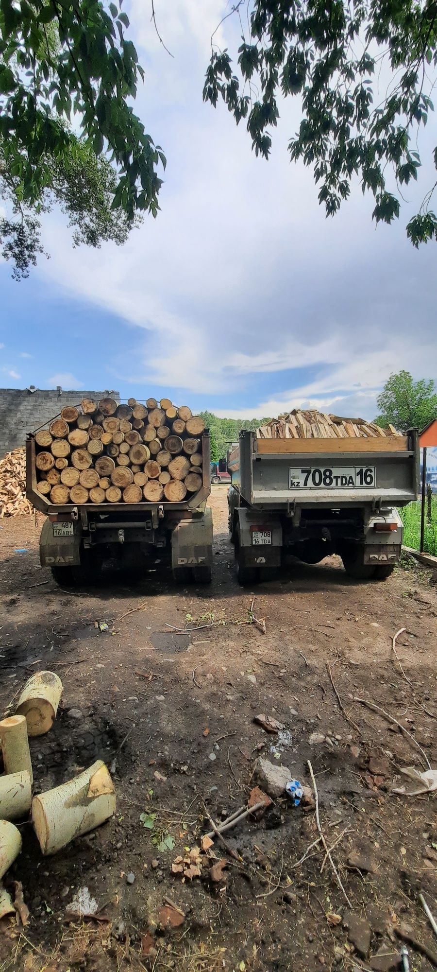 Дрова КОЛОТЫЕ / уголь доставка зил