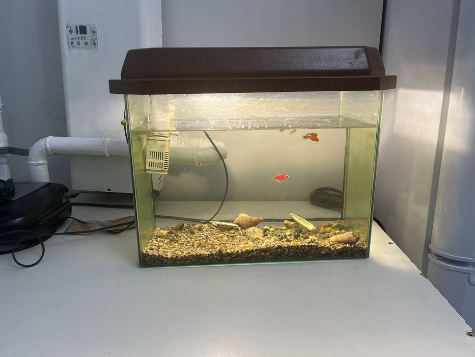 Продам 2 аквариума 1 с рыбками, второй без рыбок