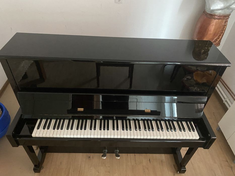 Vand / Schimb - Pian marca LIPPMANN