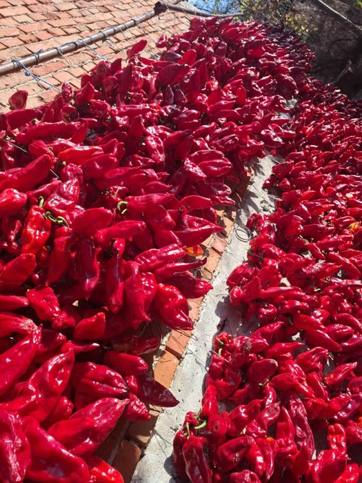 Домашно сушени чушки – българско производство, налични количества