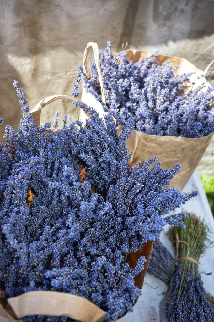 Vand lavanda buchet sau vrac