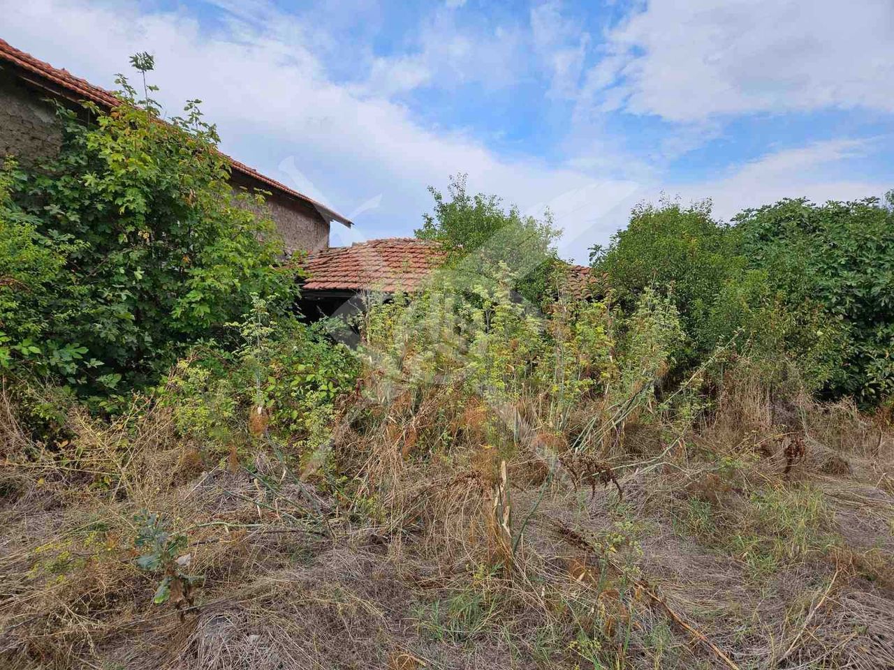 Продава се Парцел в с. Патриарх Евтимово, Област Пловдив - 800 кв.м за 19 €/кв.м - Снимка #1