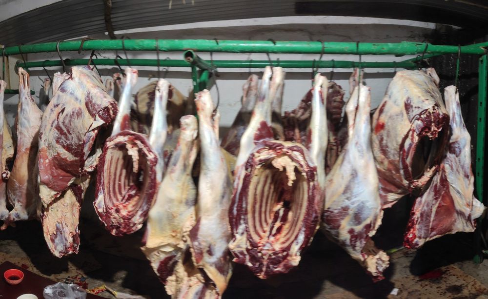 Мясо говядина, бесплатная доставка, Со степи, без хими, Актогай