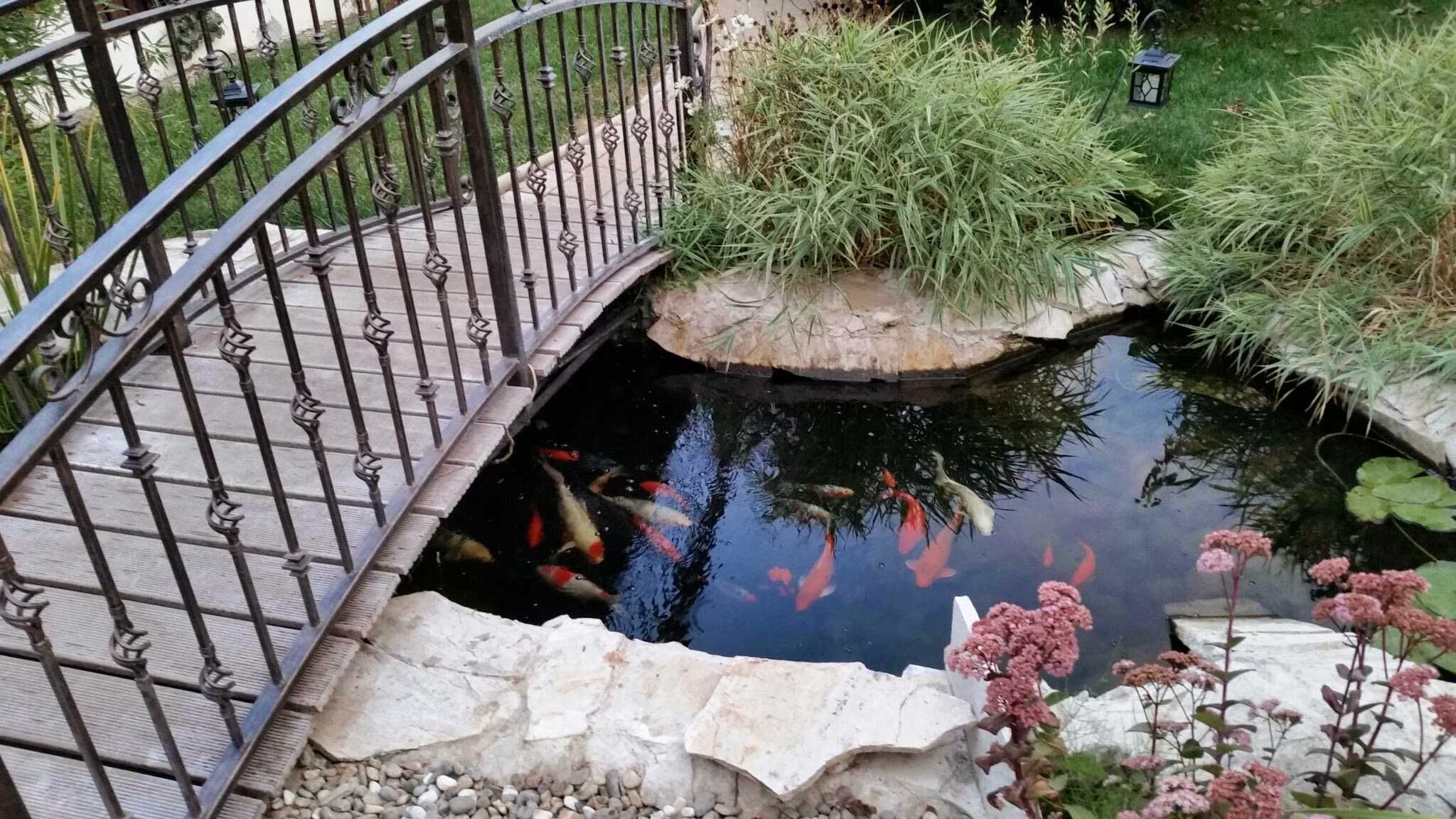 Propietate superba cu piscina sI ponton in Balotesti!