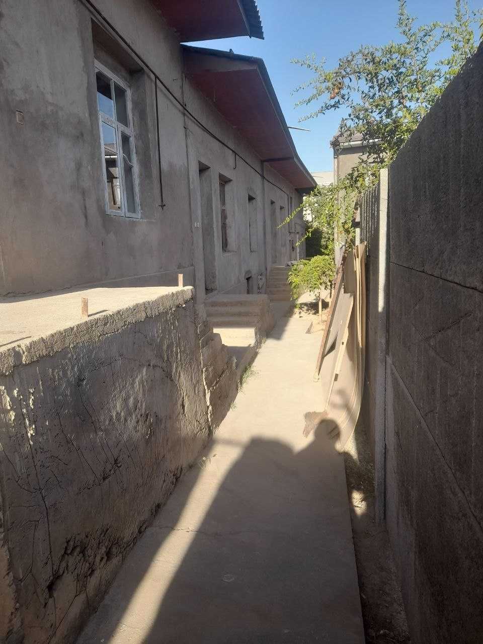 Хасанбой   Зенит   учаска