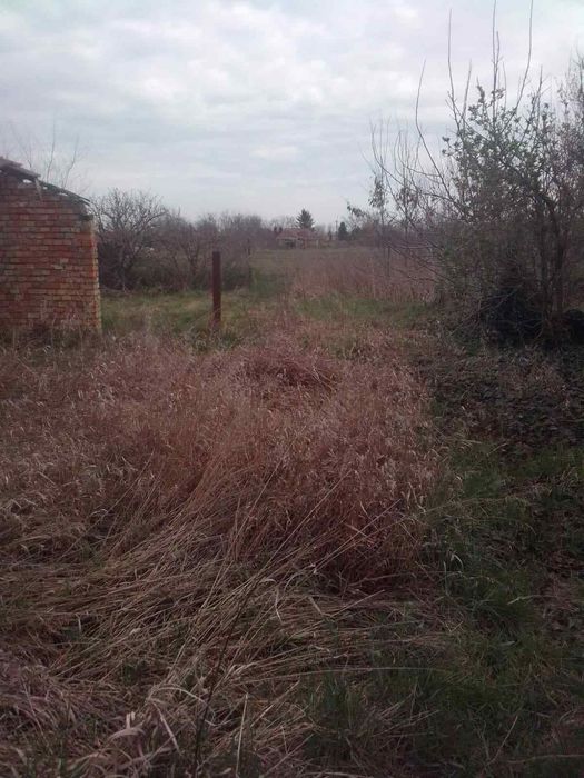 Proprietar vand casa in Ungaria langa Nadlac- Battonya-ACCEPT VARIANTE