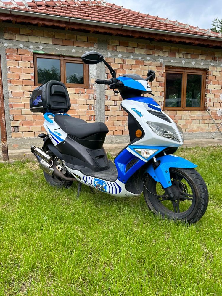 Polini Firefly Sport 2018