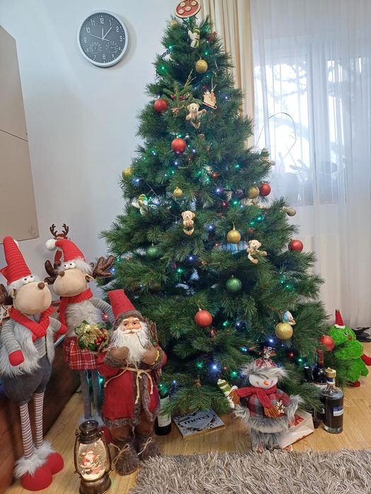 Brad artificial 2.10.  800 ron