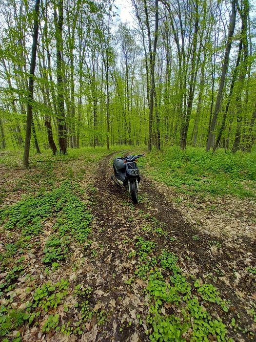 Vând scuter malaguti crosser