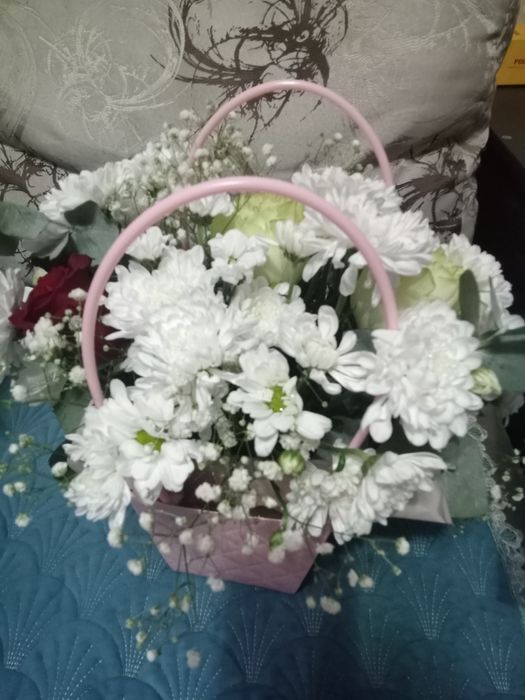 Хризантема цветы