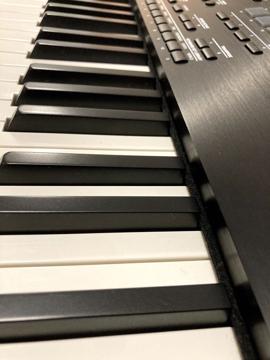 KORG Pa 5x 88 International